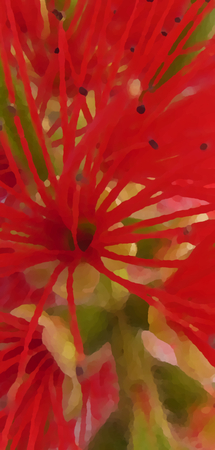 Oil painting style red flower illustrationの写真素材