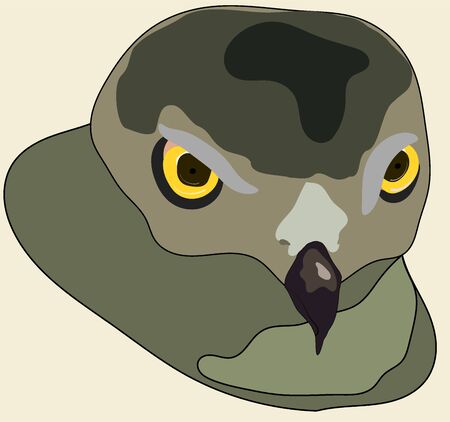 Hawk face sharp colours illustrationの写真素材