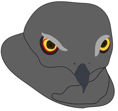 Hawk face monotone Black grey with sharp colour eyes illustration iconの写真素材