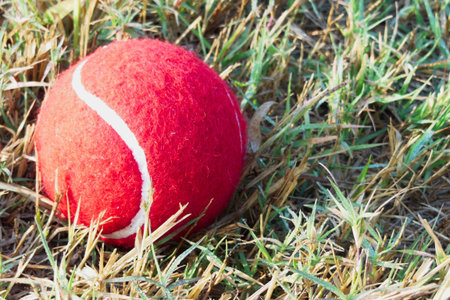 Red Tennis Ball on green grass track play ground