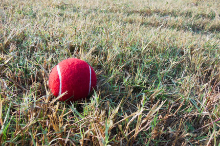 Red Tennis Ball on green grass track play groundの写真素材