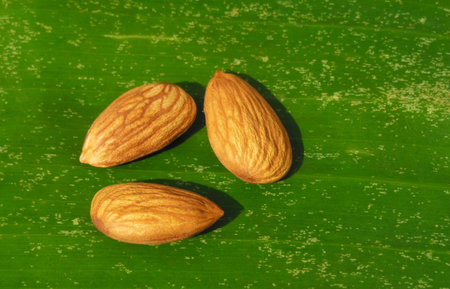 Almond nuts held on banana leafの写真素材