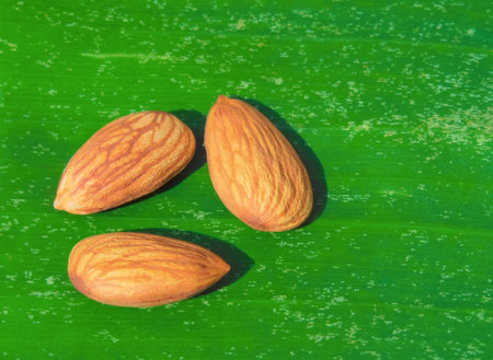 Almond nuts held on banana leafの写真素材