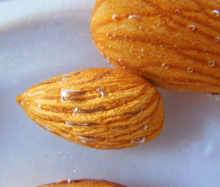 close up of Almond nuts dipped soak in water with water bubblesの写真素材