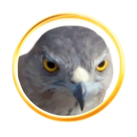 Hawk facing from golden ring vector web icon illustrationのイラスト素材
