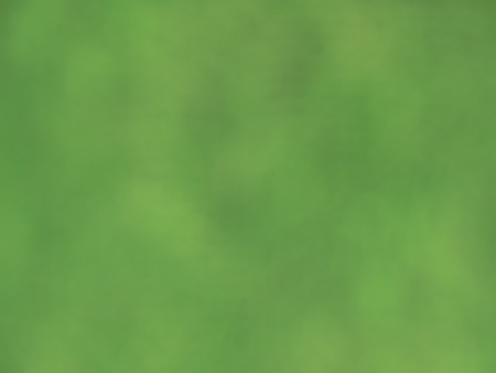 Bokeh blurred out of focus unfocused green Backgroundの写真素材