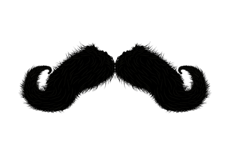 Detailed moustache vector illustration isolated on whiteのイラスト素材