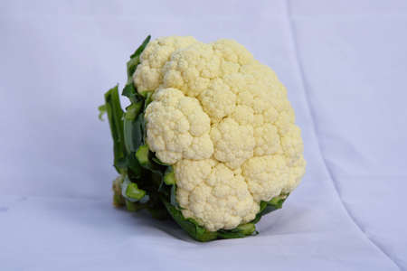 cauliflower vegetable fresh and white backgroundの写真素材