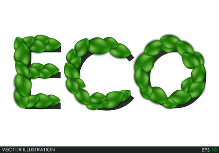 Eco the inscription of the leaves. Leaves design elements. Eco style. Green sprout green leaves symbol. Leafs background for your project. Ecological theme. Greenery. Vector Illustration.のイラスト素材