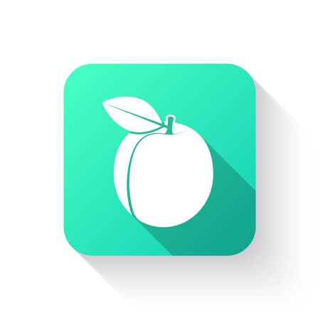 Apricot, icon, symbol made in a flat style. Fruit isolated organic ripe with a piece on the theme of healthy eating for your Projects summary. Vector illustration.のイラスト素材
