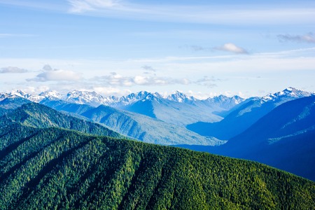 The mountains view at Hurricane Ridge of National Park in Washington, USAの写真素材