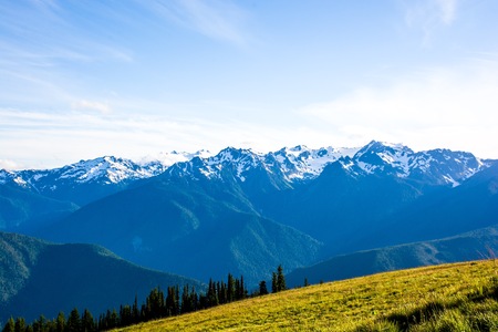 The mountains view at Hurricane Ridge of  National Park in Washington, USAの写真素材