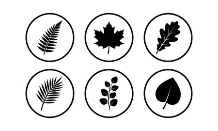 Set of six leaf types vector illustration flat design isolated on white backgroundのイラスト素材
