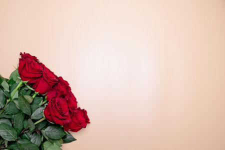 red roses flowers colored background background for screensavers Valentines Dayの写真素材