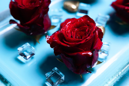 Bud red rose water with pieces of ice Background for screensaver Valentines Dayの写真素材