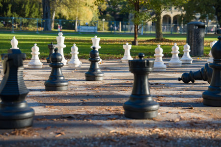 The deserted stage allows you to focus on the strategy and beauty of the art of chess. Chess duel in the open air.の写真素材