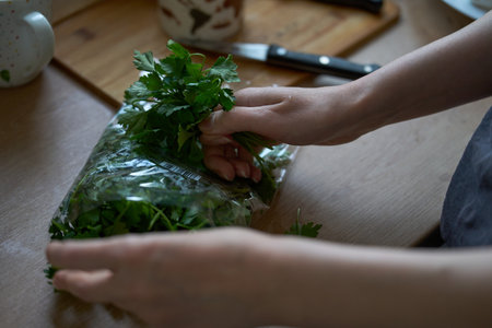 Fresh parsley in hands over kitchen surface. Hands holding parsley above bag. Kitchen scene with board and knife.の写真素材