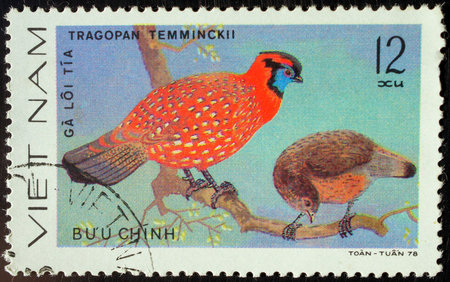 Mark post with the flora and fauna image                      の写真素材