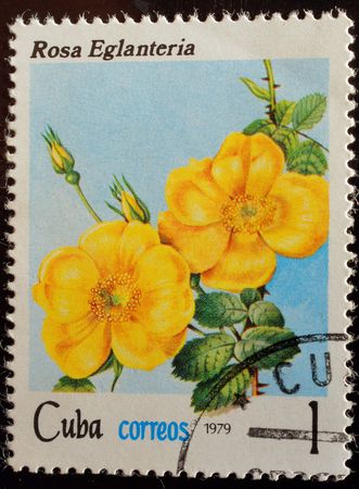 Mark post with the flora image                       の写真素材