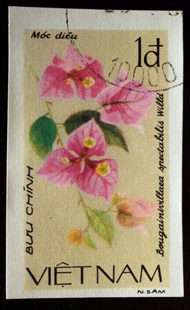 Mark with the flora and fauna image                   の写真素材