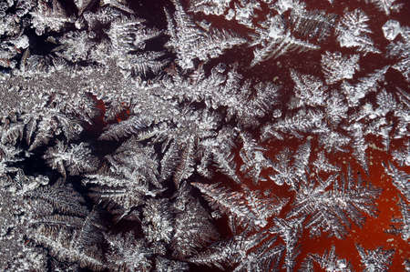 hoarfrostの写真素材