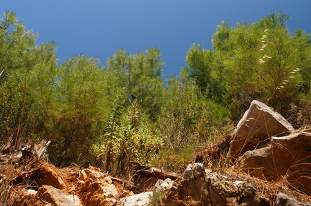 white boat floats in sea,view from the coastal mountains, pine trees and sea in Montenegroの写真素材