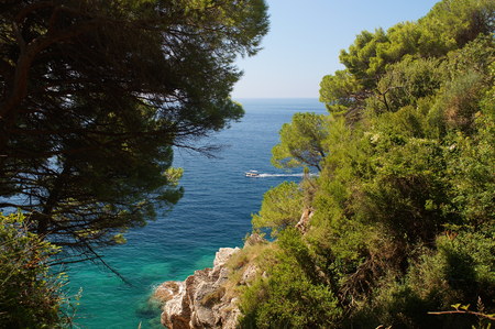 white boat floats in sea,view from the coastal mountains, pine trees and sea in Montenegroの写真素材