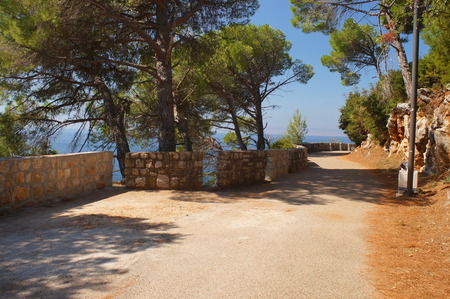 the road to romantic walks along the beach, black pine,benches,parapetの写真素材