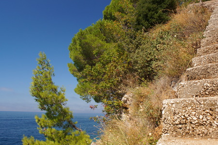 stairs from the sea to the sky on the rocks, the view is beautiful Montenegrin pine and the horizon of the seaの写真素材