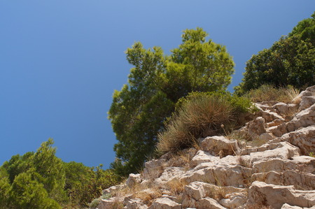 layered mountains in Montenegro, a magnificent fragrant pine, sky blue and natural pattern backgroundの写真素材