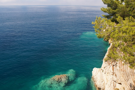 the threat to rocky shore,horizon, rocks and vegetation on the rocks, flora and faunaの写真素材