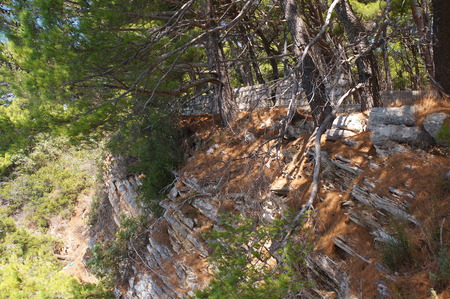 threat to the rocky shore, the safety fence vegetation on the rocks, flora and faunaの写真素材