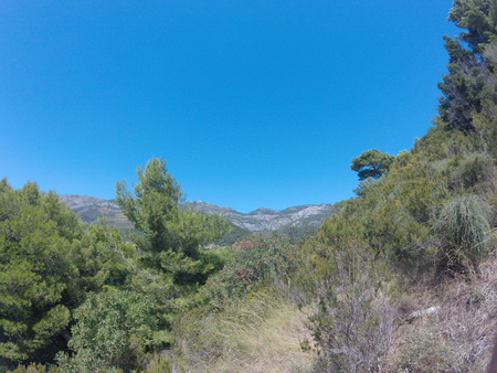 pine on the rocks against the azure sea and majestic mountains, the Majesty of natureの写真素材