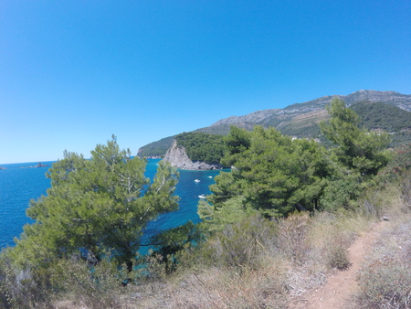 pine on the rocks against the azure sea and majestic mountains, the Majesty of natureの写真素材