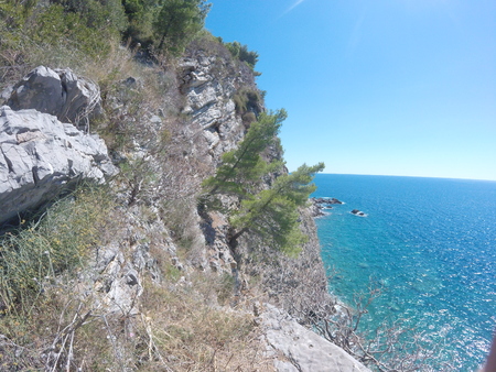 the two pine trees on the cliffs above the blue seaの写真素材