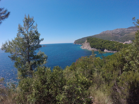 pine on the rocks against the azure sea and majestic mountains, the Majesty of natureの写真素材