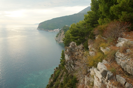 rocky coast, the cliffs, the view of the blue sea and the green of the pine needles of the pine trees, nature of Montenegroの写真素材
