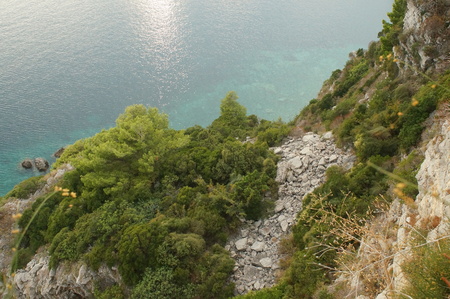 rocky coast, the cliffs, the view of the blue sea and the green of the pine needles of the pine trees, nature of Montenegroの写真素材