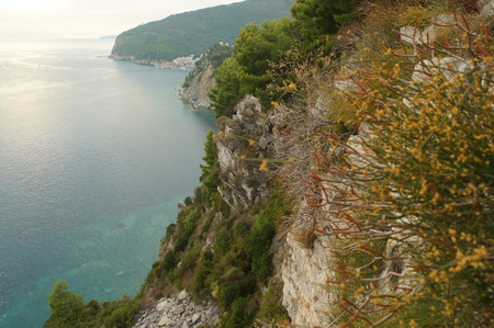 rocky coast, the cliffs, the view of the blue sea and the green of the pine needles of the pine trees, nature of Montenegroの写真素材