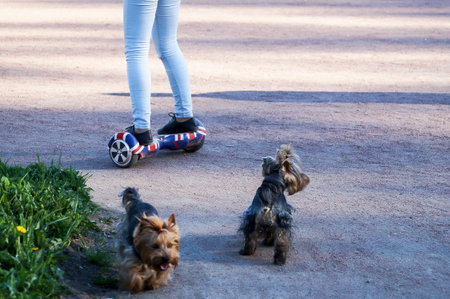 A young girl driving on a hoverboard in a Sunny Park, an active woman, balancing on a modern...
