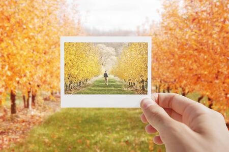 Holding Instant photo on a autumn background.の写真素材