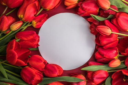Round blank greeting card mock-up scene and red tulips on red background. Flat lay, top view, copy...