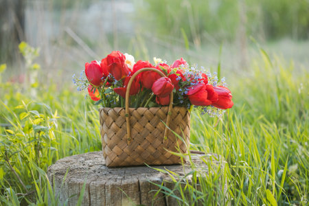 Summer flowers in straw basket. Provence flowers with wildflowers, red tulips, field, village,...