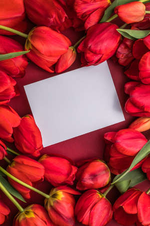 Blank greeting card mock-up scene and red tulips on red background. Flat lay, top view, copy space for text. Flower composition. Spring time concept.の写真素材