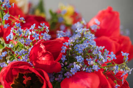 Summer or spring bouquet of daffodils and red tulips. Blossom of spring flowers.の写真素材