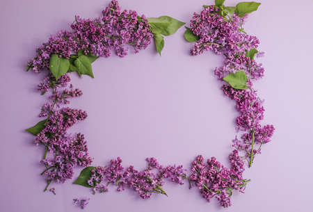 blossom Syringa vulgaris in Lilac flower space for text message.Top view. Romantic flowers composition. Mock up frame with lilac flowers on purple backgroundの写真素材