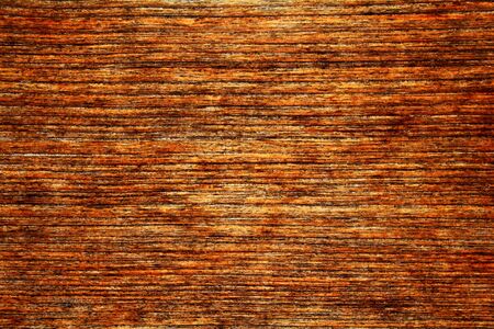 woodsの写真素材