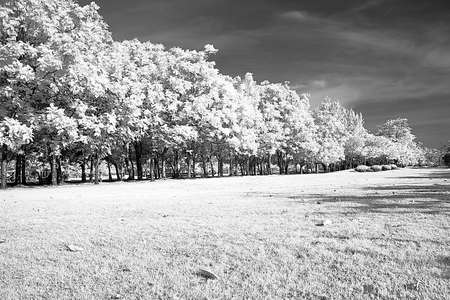 whitelandの写真素材