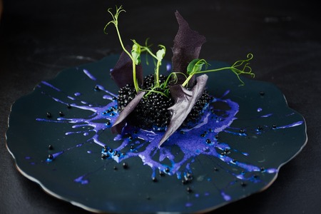 Plate with black risotto on black background with dramatic side light. Haute cuisine.の写真素材
