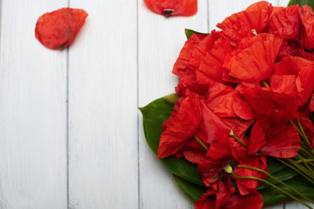 red poppy flowers on white wood table background